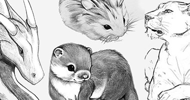 4 WEEKS Animal Pencil Sketching Virtual Art Club