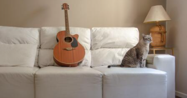 Classical Guitar - Experience Class - English 