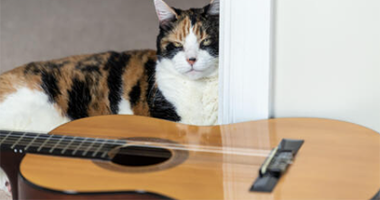 Classical Guitar - Experience Class - Cantonese