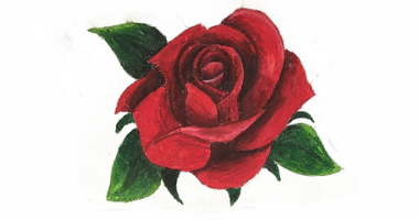 Pastel Techniques - Valentine Rose by LEARN Anytime Anywhere