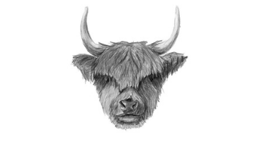 45min Chinese New Year of The Ox Sketching Lessons
