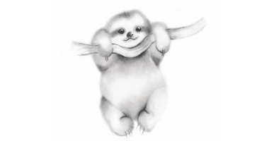 60min Drawing Lesson: Sloth Sketch