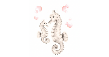 60min Drawing Lesson: Sea Horse Sketch