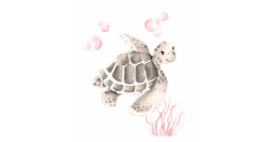 60min Drawing Lesson: Turtle Sketch