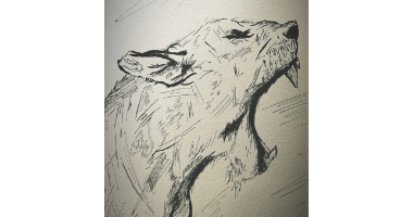 60min Drawing Lesson: Bob Cat