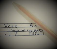 Explore Writing English Sentences 