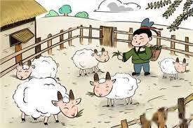 Chinese Story Telling - Private (Package)