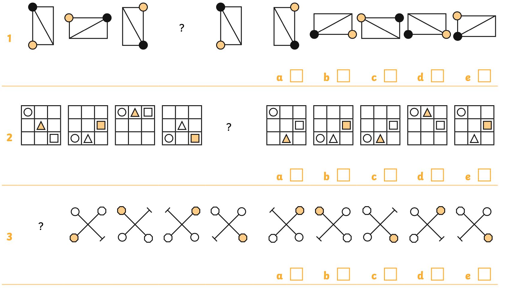 Non-Verbal Reasoning (private one-time class)